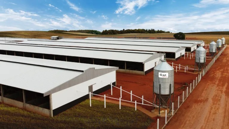 Galpones avícolas con silos
